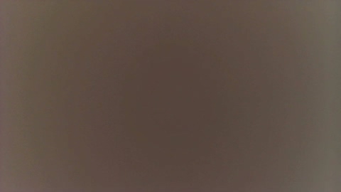 SexyLiviaa  11-11-2022